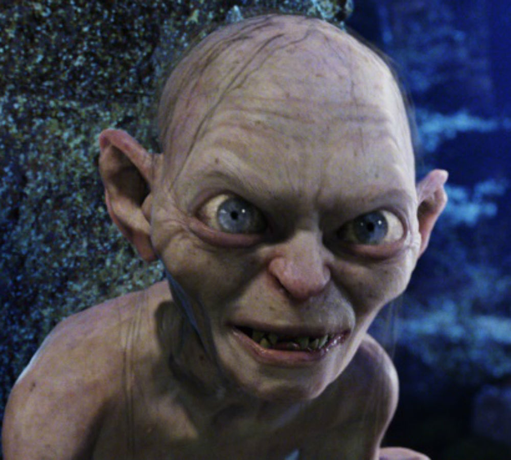 lord of the rings - what animal rescued gollum
