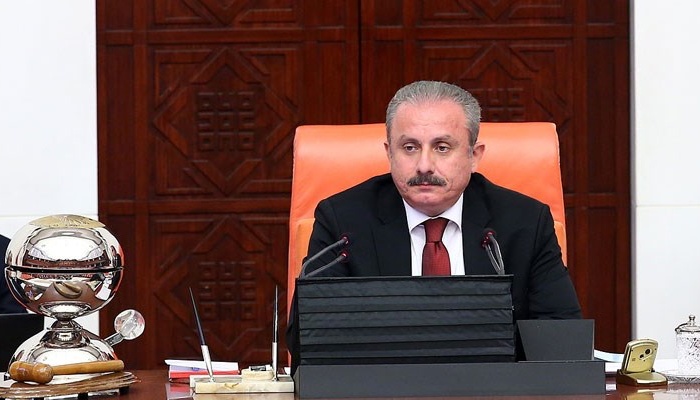 Ruling party's Şentop re-elected speaker of Turkish parliament: report