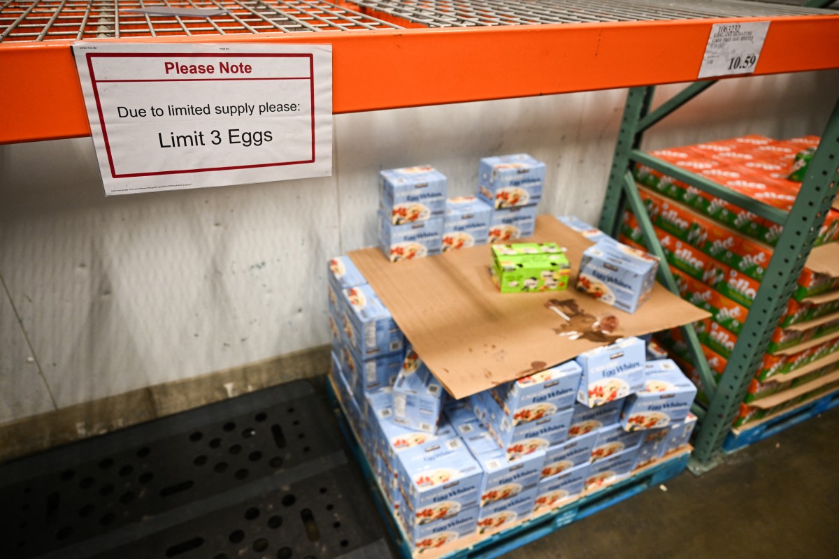 Turkey exporting 15,000 tons of eggs to US amid bird flu shortages: report