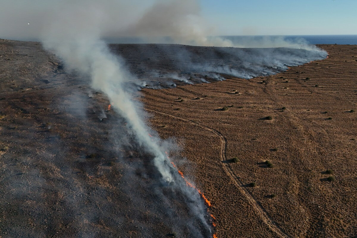Firefighters contain blaze in western Turkey, battle two others