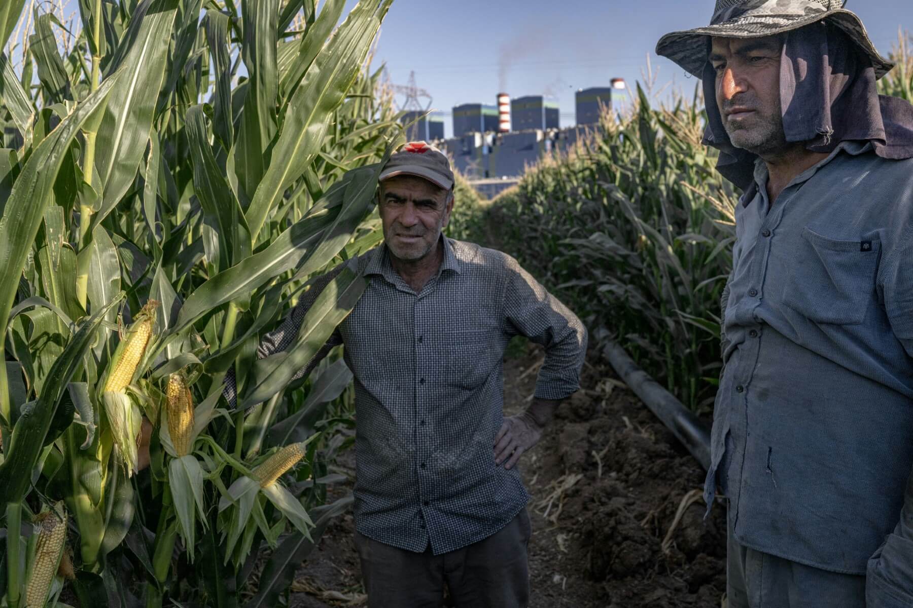 Turkey eliminates corn tariffs ahead of harvest, sparking backlash from farmers