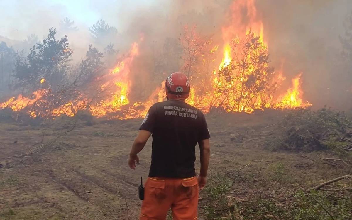 Wildfire kills at least 10 workers battling blaze in central Turkey