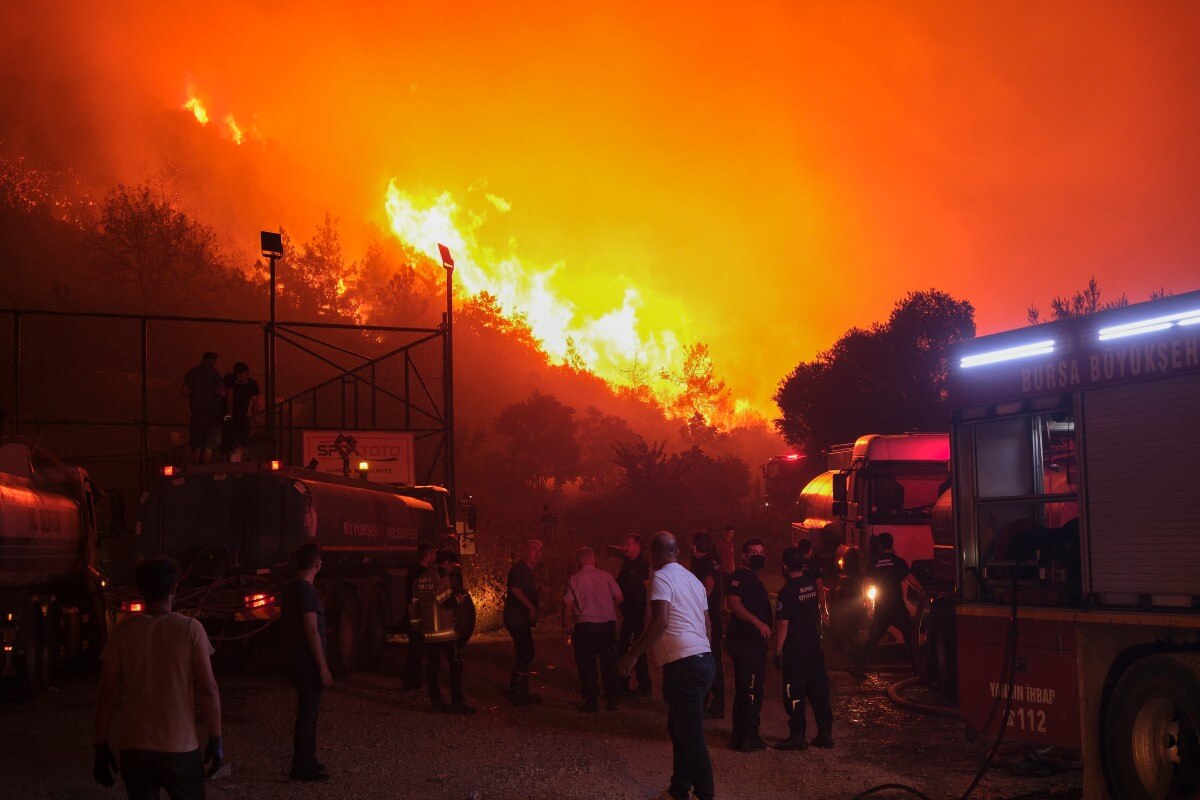 2025 among Turkey’s most destructive wildfire years, with more than 81,000 hectares burned