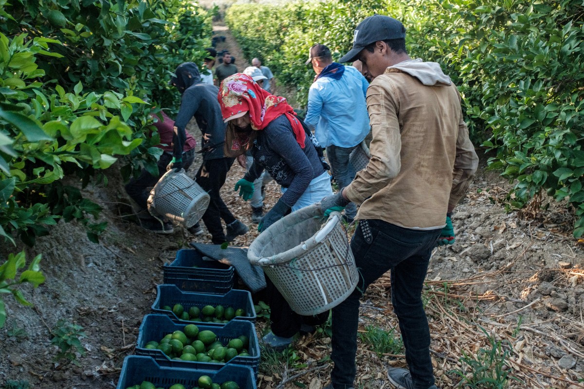 Farmers in Turkey warn of rising costs as Iran war disrupts fertilizer, fuel supplies