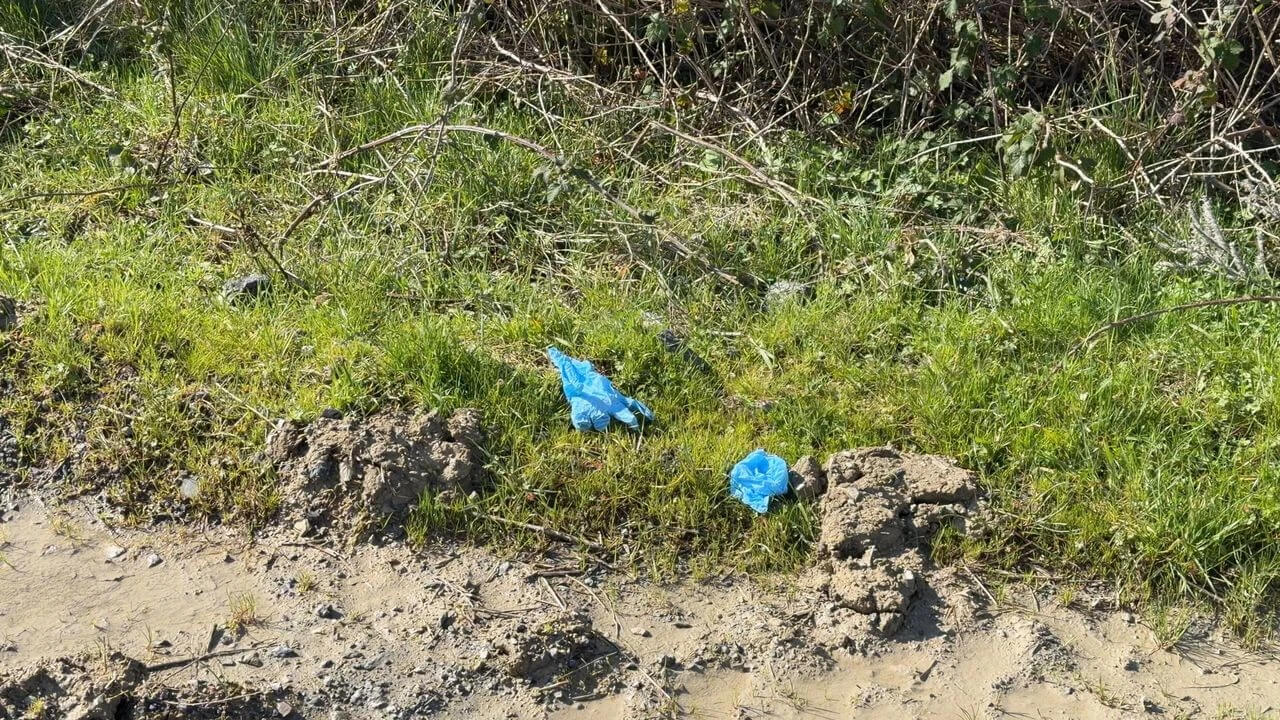 Missing Chinese businessman found dead in İstanbul