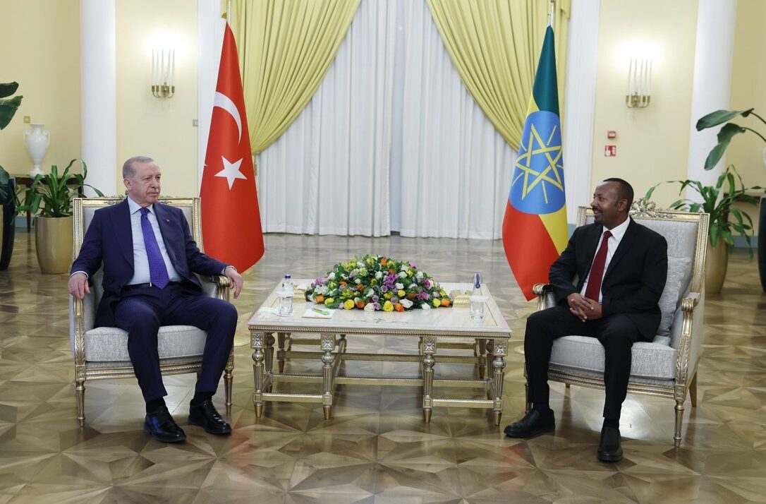 Israeli recognition of Somaliland benefits no one, Turkish president says